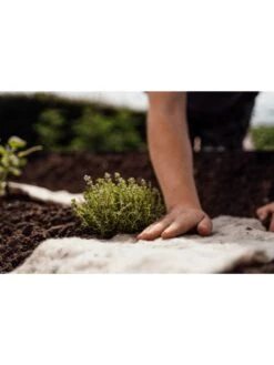 Hortiwool ®, Starter Garden Pad -Green Works Shop 8613263 09v