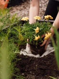 Hortiwool ®, Starter Garden Pad -Green Works Shop 8613263 12v 1