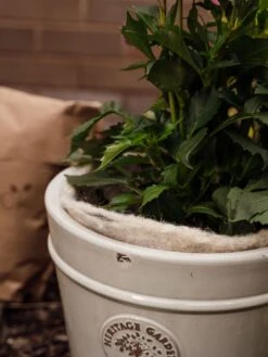 Hortiwool ®, 5 Pad Pack -Green Works Shop 8613263 17v