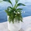 Arden Round Planter -Green Works Shop 8613267 0112 arden round planter