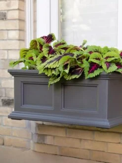 Fairfield Self-Watering Window Box, 2’ -Green Works Shop 8613268 08V tif