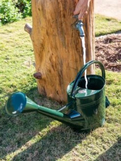 Long Reach Watering Can, Large -Green Works Shop 8613346 0147