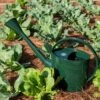 Long Reach Watering Can, Large -Green Works Shop 8613346 0149