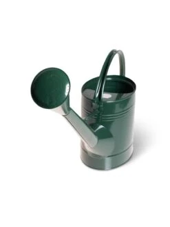 Long Reach Watering Can, Large -Green Works Shop 8613346 5830