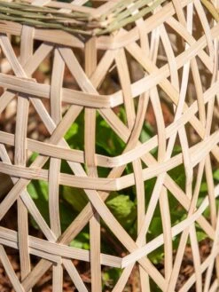 Bamboo Cloche, Set Of 2 -Green Works Shop 8613351 0153