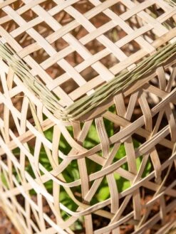 Bamboo Cloche, Set Of 2 -Green Works Shop 8613351 0154