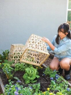 Bamboo Cloche, Set Of 2 -Green Works Shop 8613351 6862