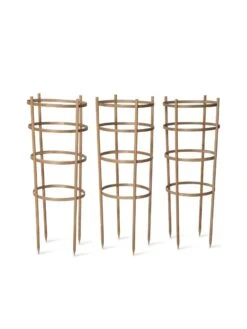 Bamboo Tomato Cages, Set Of 3 -Green Works Shop 8613426 4679 bamboo tomato cages 3