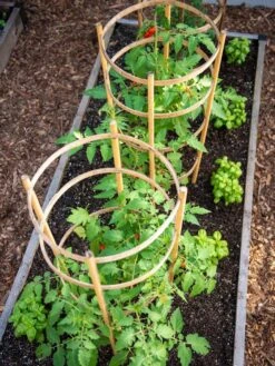 Bamboo Tomato Cages, Set Of 3 -Green Works Shop 8613426 6916