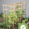 Bamboo Tomato Cages, Set Of 3 1 Bamboo Tomato Cages, Set Of 3 -Green Works Shop 8613426 7