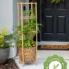 Elevated Bamboo Tomato Planter And Trellis 2 Elevated Bamboo Tomato Planter And Trellis -Green Works Shop 8613502 13