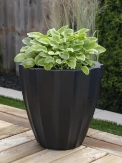 Sedona Round Planter, 18" Diameter 11 Sedona Round Planter, 18" Diameter -Green Works Shop 8613526 01V