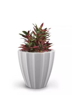 Sedona Round Planter, 18" Diameter 13 Sedona Round Planter, 18" Diameter -Green Works Shop 8613526 05V