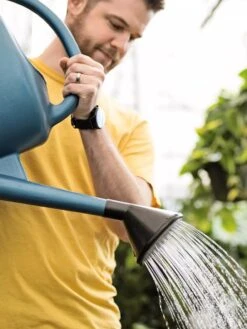 French Blue Watering Can -Green Works Shop ChrisAhrensSquare 0118 tif