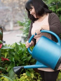 French Blue Watering Can -Green Works Shop EmilyHoangSquare 0151 tif