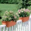 2' X 4' Railing Planter, 25" -Green Works Shop GS34336 01 24 inch 2x6 railing planters