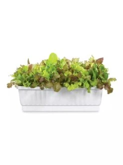 31" Self-Watering Window Box -Green Works Shop GS36523 01Z 3 4