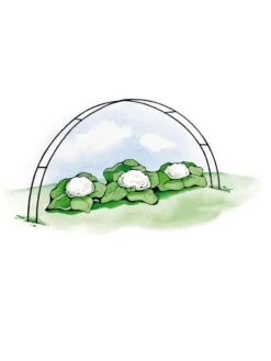 Super Hoops, Set Of 6 -Green Works Shop GS39423 02S 3 4