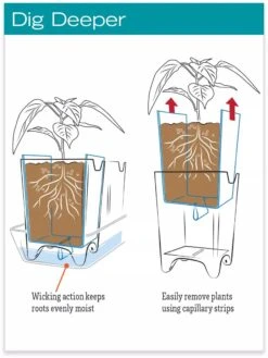 Stoneware Self-Watering Windowsill Planters, Set Of 2 -Green Works Shop hiw 8593943 jpg