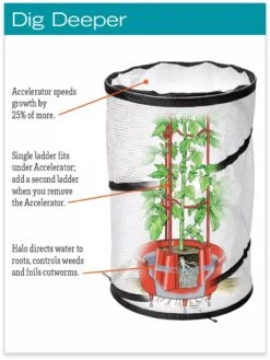 Tomato TLC Kits, Set Of 3 -Green Works Shop hiw 8594214 jpg